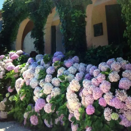 La Farigoulette * Saint Tropez